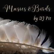 Musics & Birds