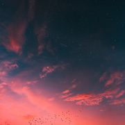 Summer Nights - Lofi Hip Hop