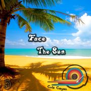 Face ... The Sun[Vol. 5]
