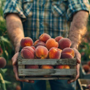 Simple Steps To Blanch Peaches For Easy Peeling Freezing Canning That Preserve Flavor And Texture