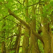 TRANSMITTER XIII 13.06.2021 [674.fm]