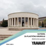Katedra za plastičnu kirurgiju - Arhitektura kipara, 4.3.2024.