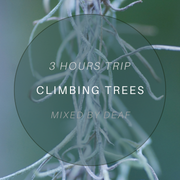 3 Hours Trip - Climbing Trees