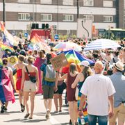 Pink Channel Magazin 09.11.2024