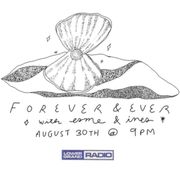 forever and ever vol. X