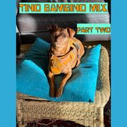 Tino Bambino Mix Part Two: DJVSamsonite Presents