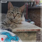 Mick's Mix from ERSE05EP01