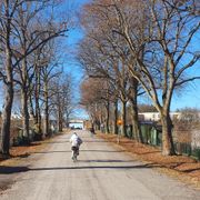 Trigger 6 april 2024