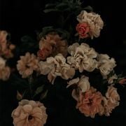 Chris C - New RnB Mix