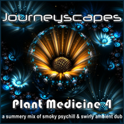 PGM 369: PLANT MEDICINE 4 (a summery mix of smoky psychill & swirly ambient-dub)