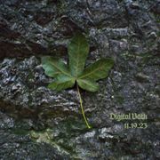 digital bath w/ ollie (11.19.2023)