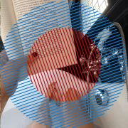 MS076 Nervous System