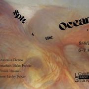 Spit in the Ocean #14