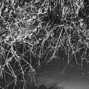 Núvol de Fum 518 | vibracions