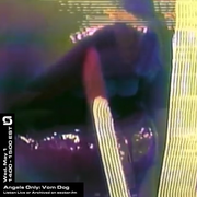 Angels Only: Vom Dog - 1st May, 2024