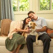 Upgrade Your Home's Air With Filterbuy 16x25x5 Air Filters  - Audio Blog