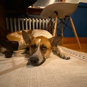 sewersounds_10_30_25_thifting-lita-session