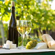 The Difference Between Sauvignon Blanc vs Pinot Grigio: Taste Pairings and Style Differences