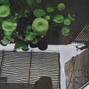 Monday Morning Mixtape 217