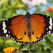 ספרים סופרים ומה שביניהם ברדיו קסם 106אפאם מיום 27/11/24