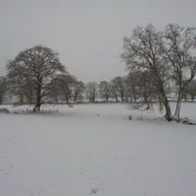 A Winter Folk Show: Ep 16