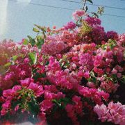 Soulful Sundays "Ep. 01"