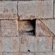 Taurice Radio Ep 5 032726 Naseem Etemad