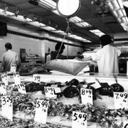 Núvol de fum 432 | un visitant desconegut