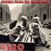 #120 Sounds From The Wilderness 31 Dec 2023