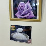 Sirk w/ KC (Masaki Komoto) - 24/03/2026