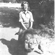 A bizarre Ride (Amerigo x Gummy Soul Tribute)