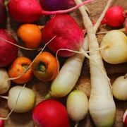 What Are Root Crops? Their Meaning, Types & 10 Root Vegetables - Audio Blog