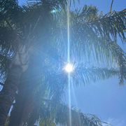 Sunshine Mix, August 2023