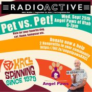 Call-in for your pet during tonight's Challenge for Good