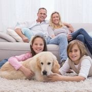 Buy the Best 20x22x1 Odor Eliminator Pleated Air Filter HVAC & Furnace Air Filters - Audio Blog