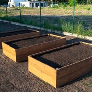 The Best Vegetable Garden Plans: Top 5 Container Gardening Designs and Bed Layout Tips - Audio Blog