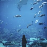 Wonderland 04.14.2025