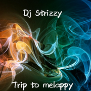 Dj Strizzy - trip to melappy - melodic and funky tech & deephouse