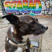 Töltsön egy órát kedvenceinkkel! #14