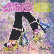 Gulls Window Circus #692 part 2