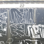 TEIA 22
