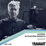 Katedra za plastičnu kirurgiju - David Lynch, 27.1.2025.