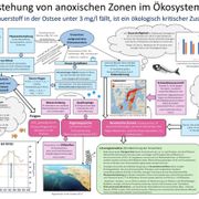 Chaotisch mit Geschmack: Wie entstehen Todeszonen? vom 06.07.2024