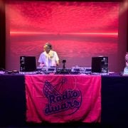 Rebel F - Radio Dwars #36