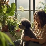 Upgrade Your Air Quality Today with Carrier Air Filters - Audio Blog