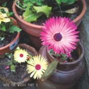 Into The Woods Part 3