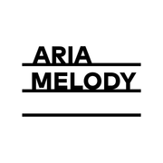 NYC Wedding DJ Mix – High Energy EDM & Dance Anthems (Aria Melody DJ)