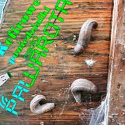 Kefirowe poniedziałki - Wczucior #116/1626 PAWAROTA Radio - 19.05.2025