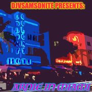 Arnie In Miami: DJVSamsonite Presents