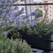 Danya Tkachenko / Даня Ткаченко — Kremenchuk, City Centre / Кременчук, Центр Міста